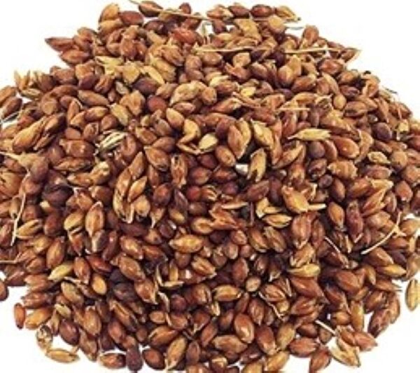 Karahasanoğlu Tarım Tohum