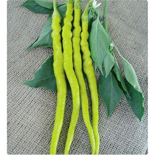 Karahasanoğlu Tarım Tohum