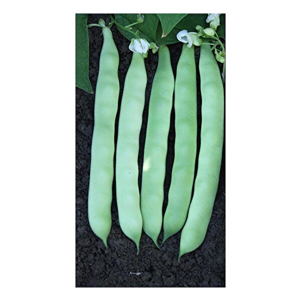 Karahasanoğlu Tarım Tohum