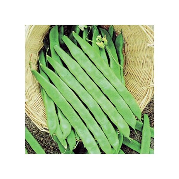 Karahasanoğlu Tarım Tohum