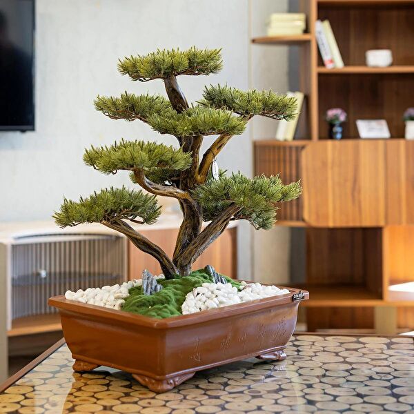 Omnia Concept Bonsai