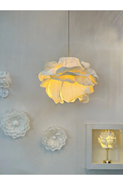 Maison Avf Avize, Sarkıt