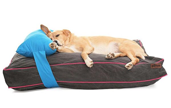 Petza Köpek Yatağı