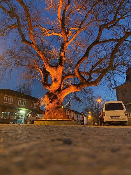 Ayd Aydınlatma Bahçe Aplikleri