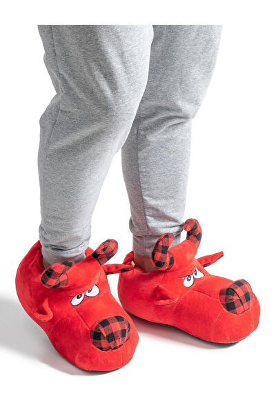 Twigy Erkek Ev Botu, Panduf