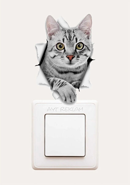 Ayt Sticker Dekoratif Sticker