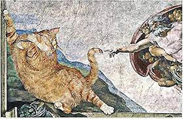 Monnhein Dış Mekan Paspası