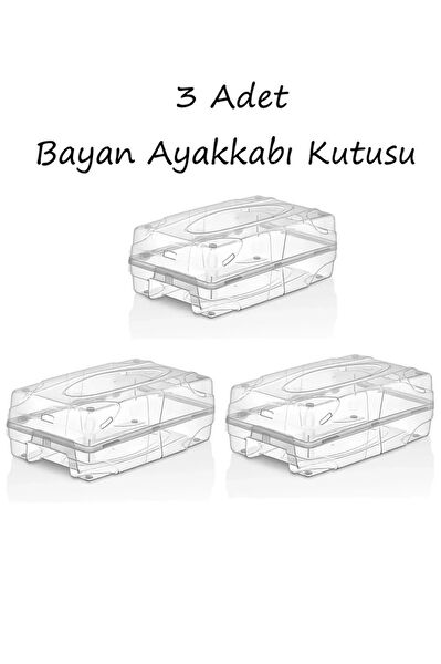 Bayev Ayakkabı Kutusu