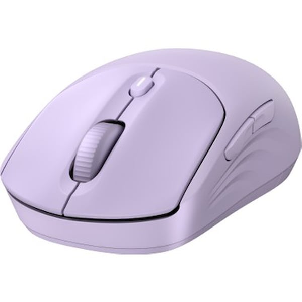 Sungur's Store Mouse