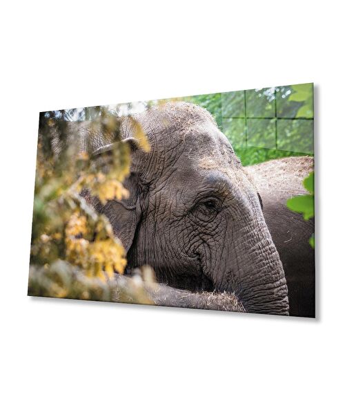 bayçağrı Cam Tablo