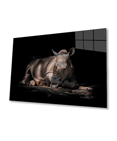 bayçağrı Cam Tablo