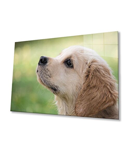 bayçağrı Cam Tablo