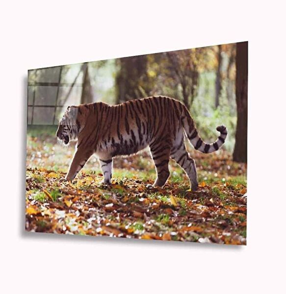 bayçağrı Cam Tablo