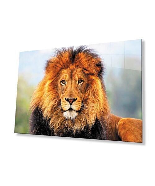 bayçağrı Cam Tablo