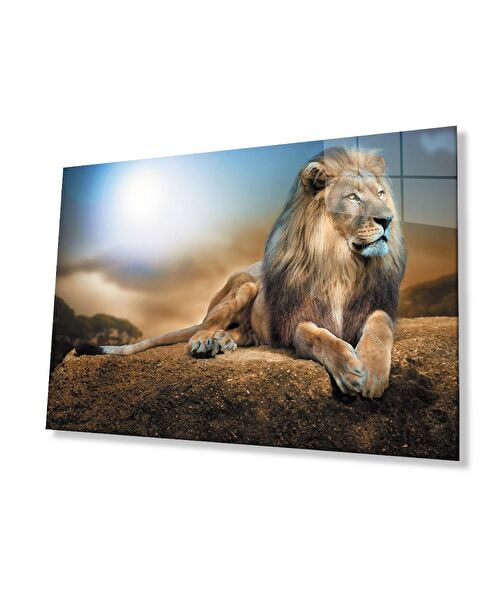 bayçağrı Cam Tablo