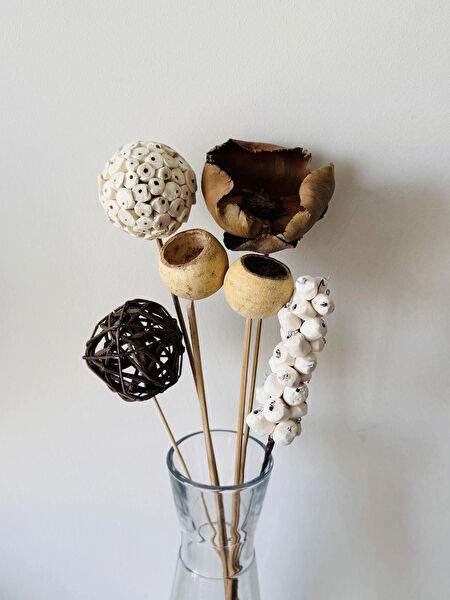 B'Clara Home Kadın Girişimci El Emeği Ürünler