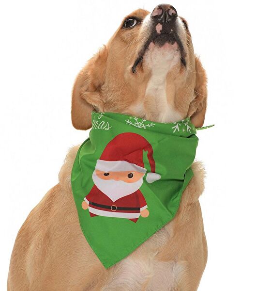 Petza Köpek Tasmaları