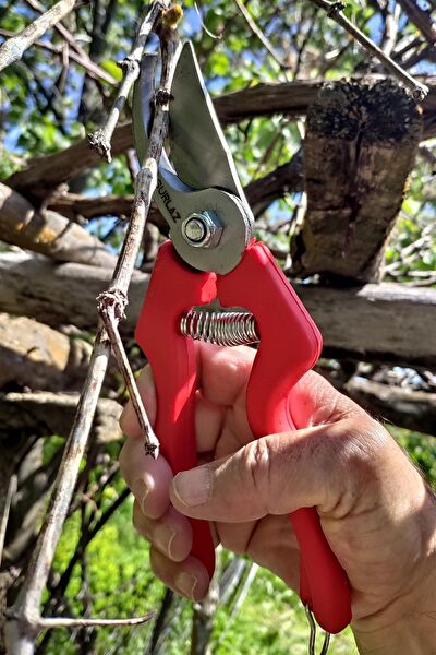 sürlaz Budama Makası