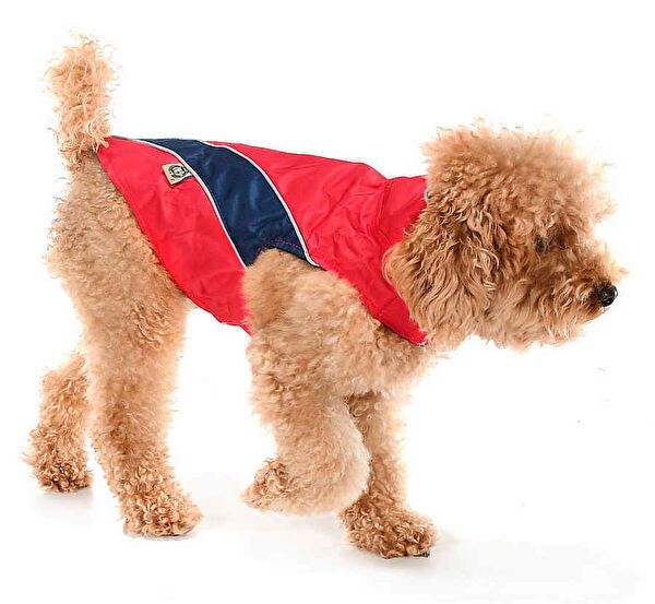 Petza Köpek Elbisesi