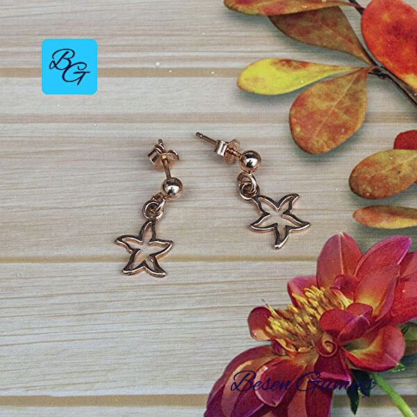 Besen Gümüş Küpe