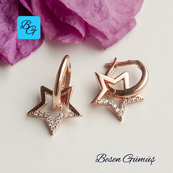 Besen Gümüş Küpe