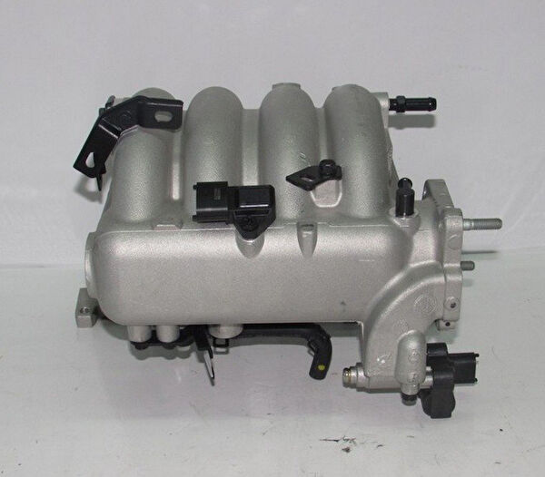 BH Manifold