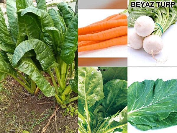 Karahasanoğlu Tarım Tohum