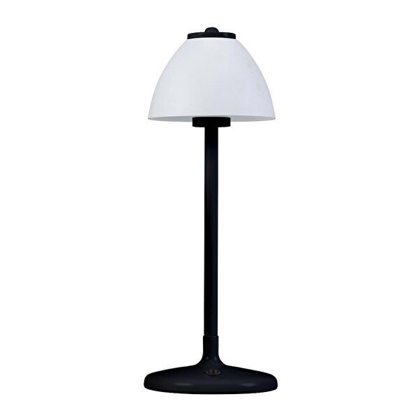 Bahar Aydınlatma Masa Lambası