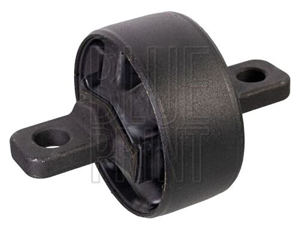 Blue Print Salıncak