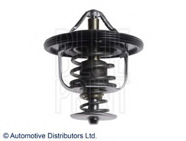 Blue Print Termostat