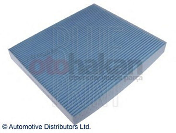 Blue Print Polen Filtreleri