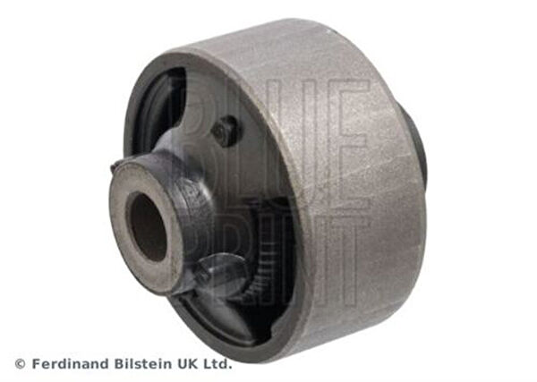 Blue Print Salıncak