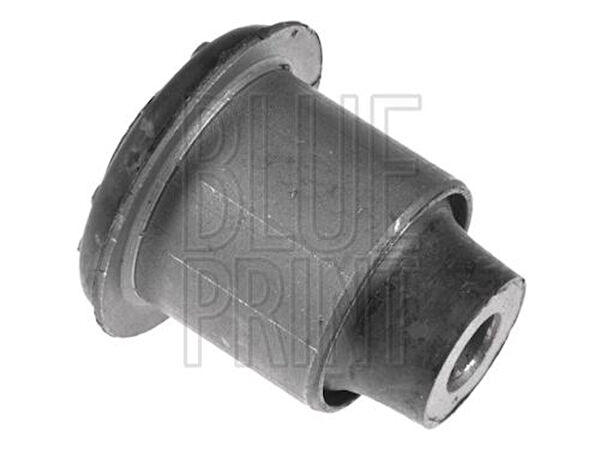 Blue Print Salıncak