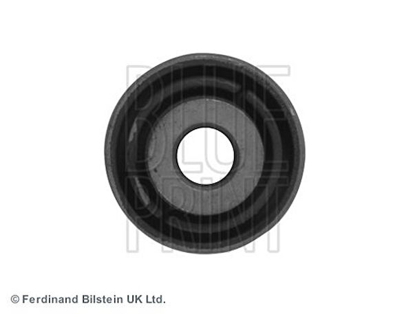 Blue Print Salıncak