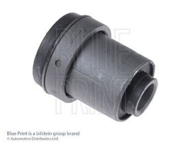 Blue Print Salıncak