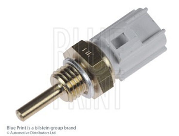 Blue Print Müşürler