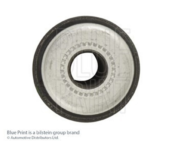 Blue Print Salıncak