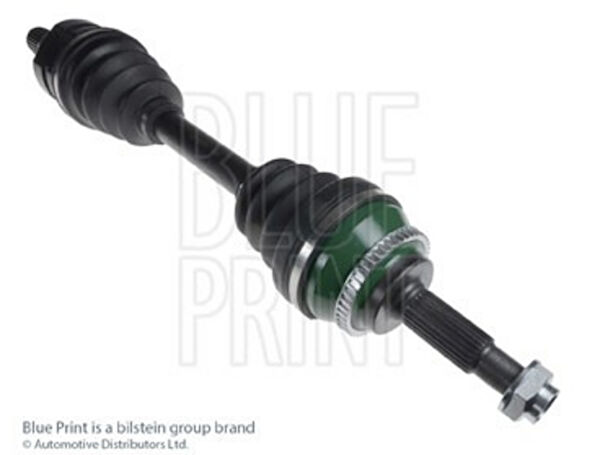 Blue Print Aks Körük & Kafası