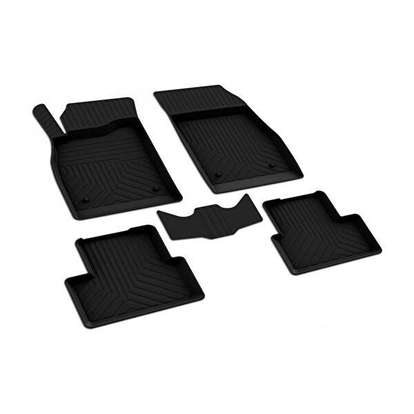 Ferrous Oto Paspası