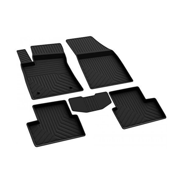 Ferrous Oto Paspası