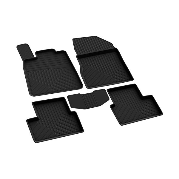 Ferrous Oto Paspası