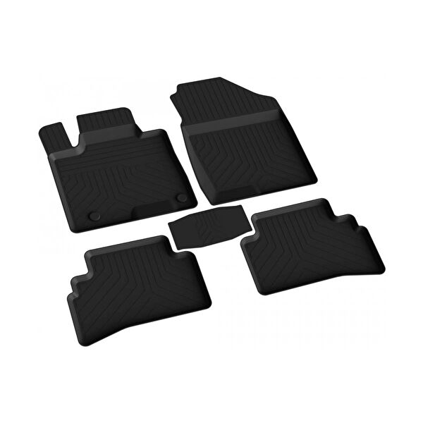 Ferrous Oto Paspası