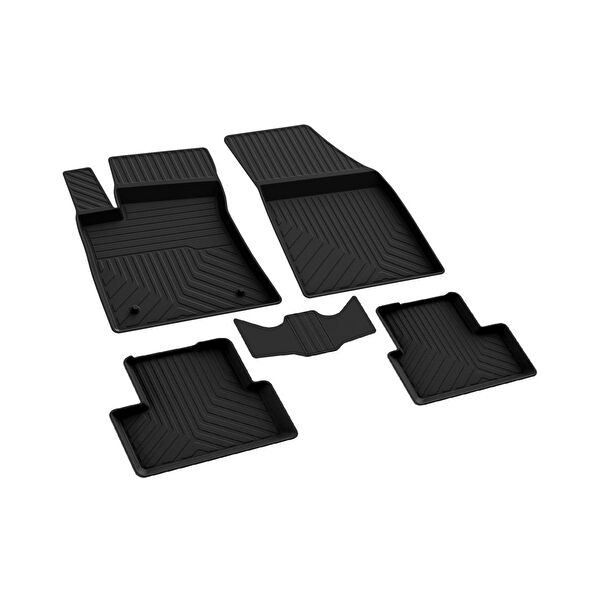 Ferrous Oto Paspası