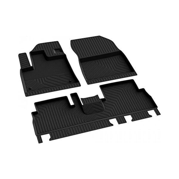 Ferrous Oto Paspası