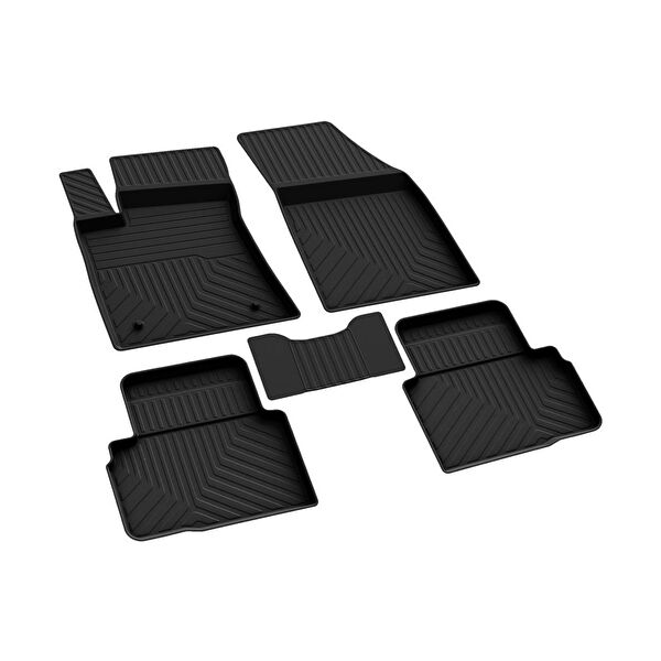 Ferrous Oto Paspası