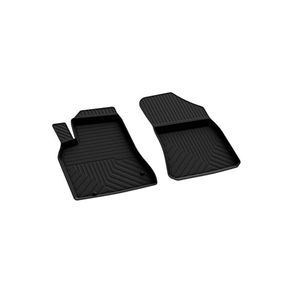 Ferrous Oto Paspası