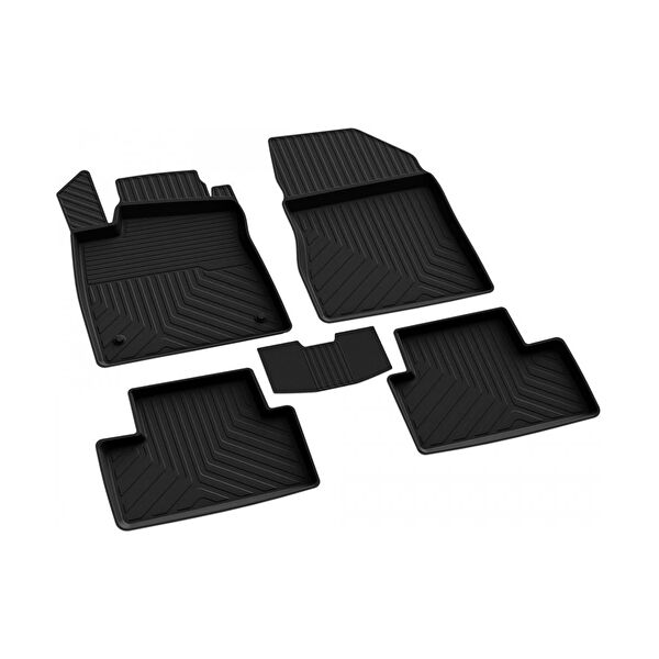 Ferrous Oto Paspası