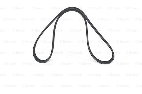 Bosch V Kayışı