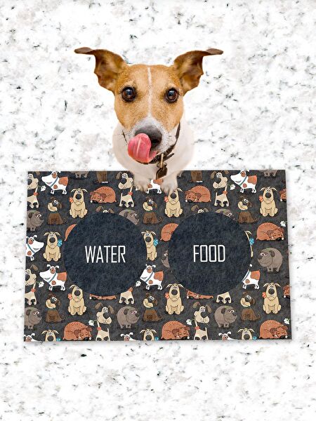 Monnhein Kedi Tuvaleti, Aksesuarları