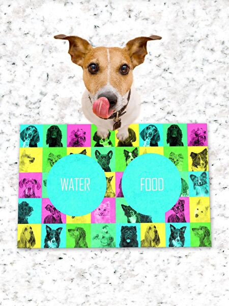 PatiPeti Kedi Tuvaleti, Aksesuarları